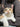 aoneco支援先_静岡県『猫カフェいろり』2026年2月活動報告・寄付金のお礼
