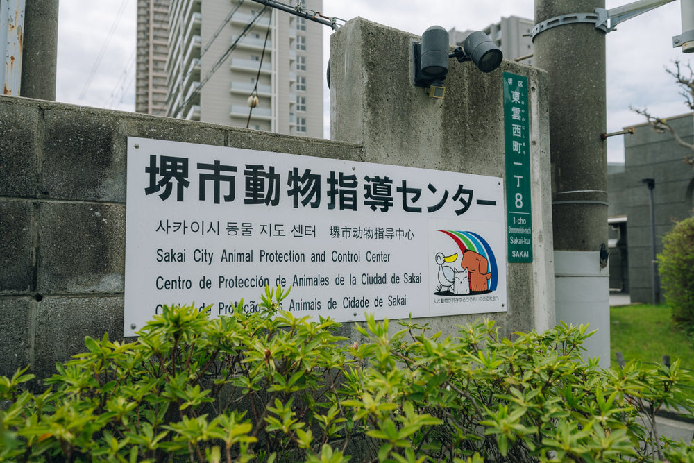 ずっとのおうちを見つけるプロジェクトの活動