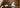 aoneco支援先_NPO法人動物愛護団体『LYSTA』2024年６月～７月活動報告