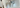 aoneco支援先_熊本県『かごにゃん』2025年10月～12月活動報告・寄付金のお礼