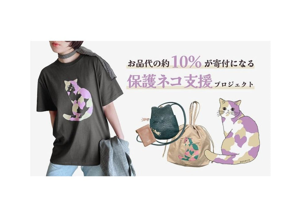 【READYFORクラウドファンディング】愛媛のネコたちに安らぎを 第二弾🐈